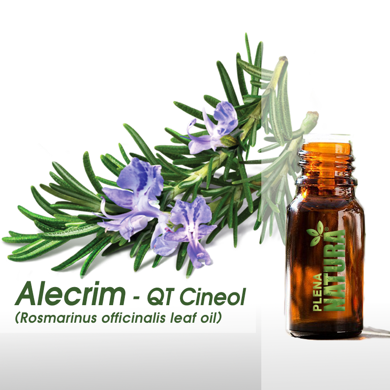Alecrim - QT Cineol - Óleo Essencial