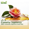Óleo de Camélia Japónica