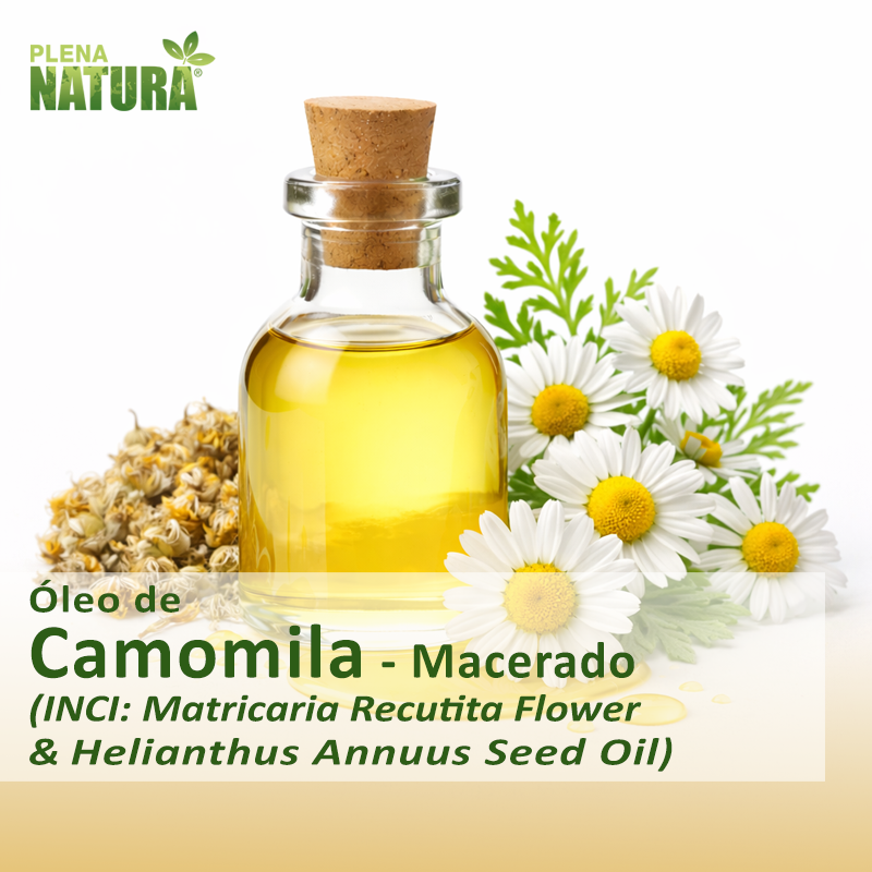 Óleo de Camomila (Macerado)