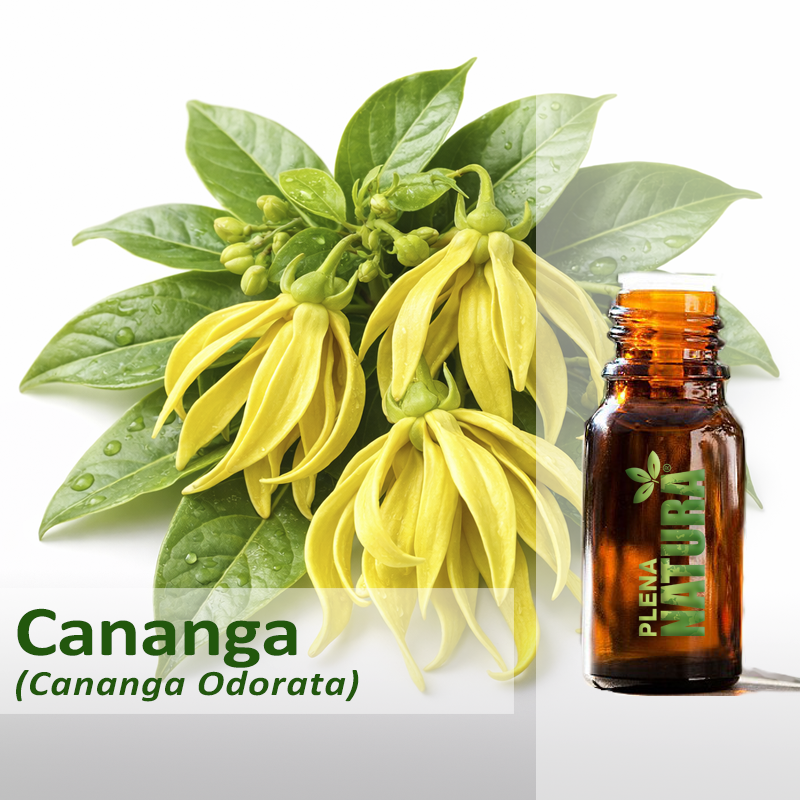 Cananga - Óleo Essencial