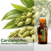 Cardamomo - Óleo Essencial