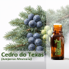 Cedro do Texas - Óleo Essencial