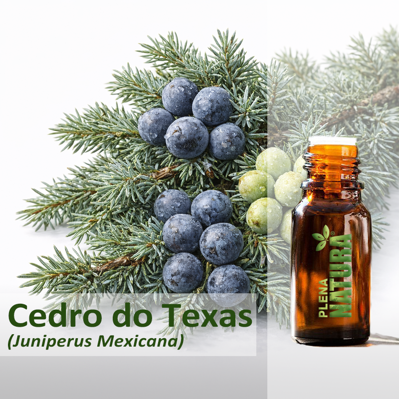 Cedro do Texas - Óleo Essencial