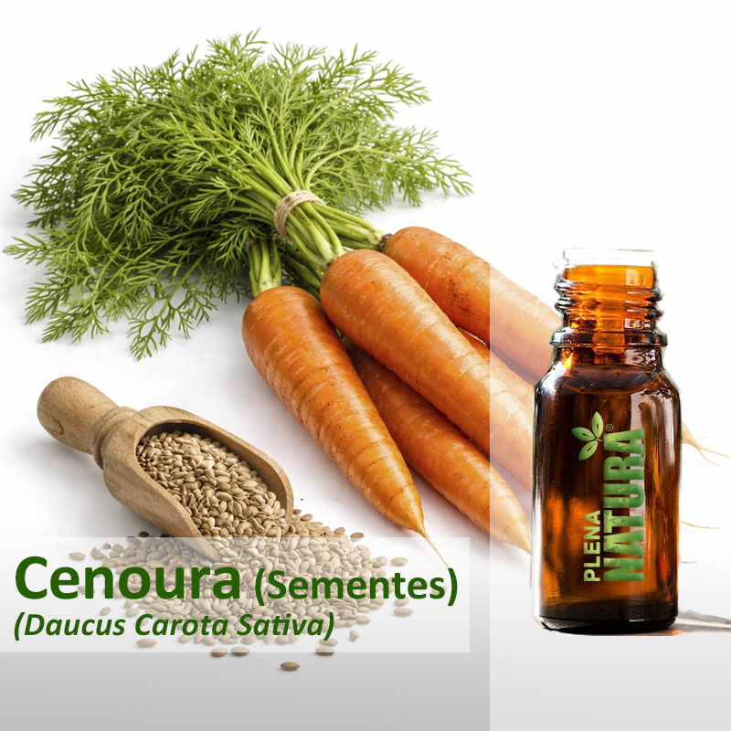 Cenoura (Sementes) - Óleo Essencial