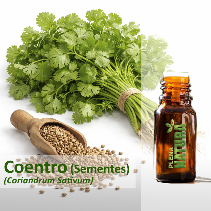 Coentro (Sementes) - Óleo Essencial