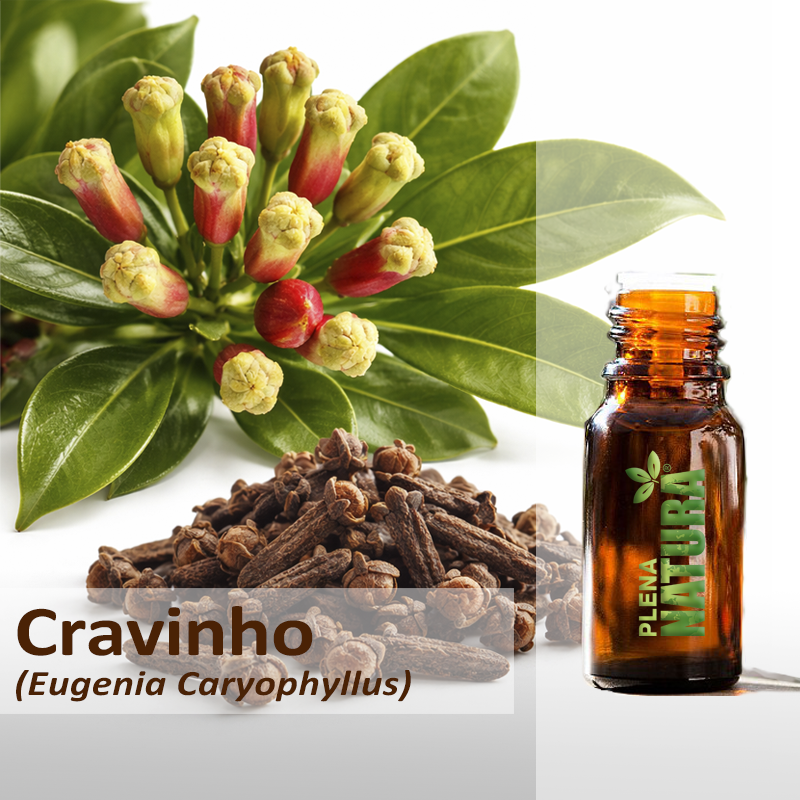 Cravinho - Óleo Essencial