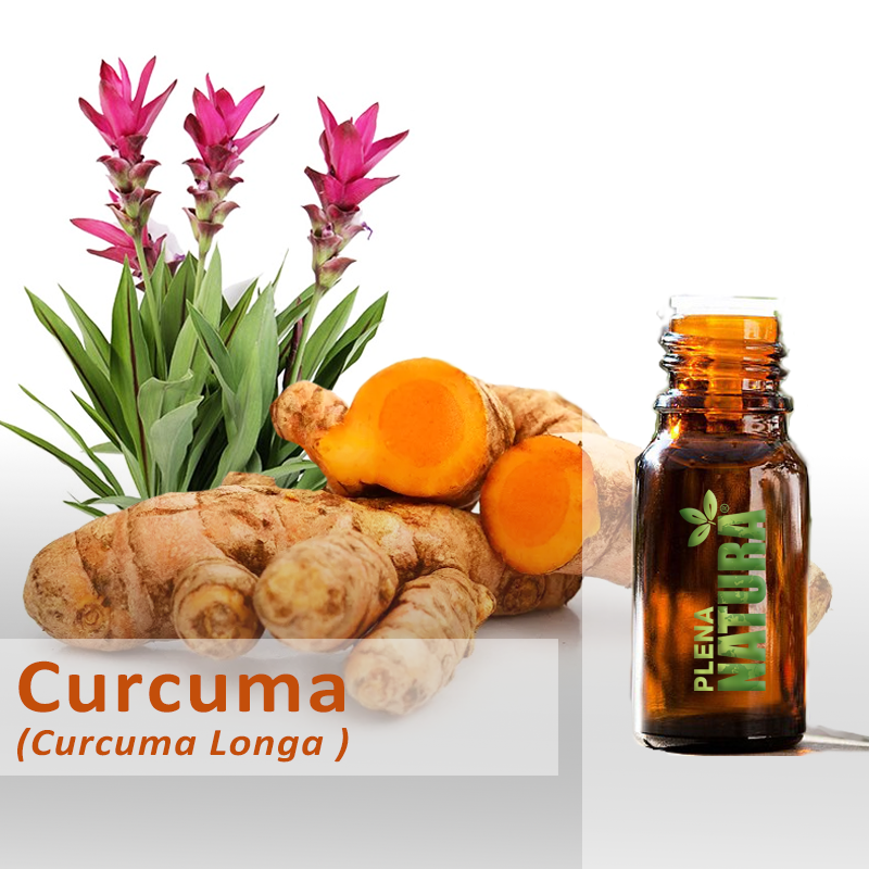 Curcuma - Óleo Essencial