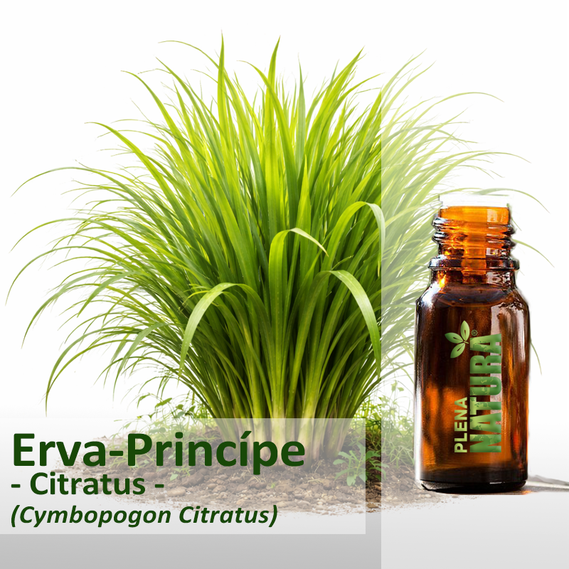 Erva-Príncipe - Citratus - Óleo Essencial
