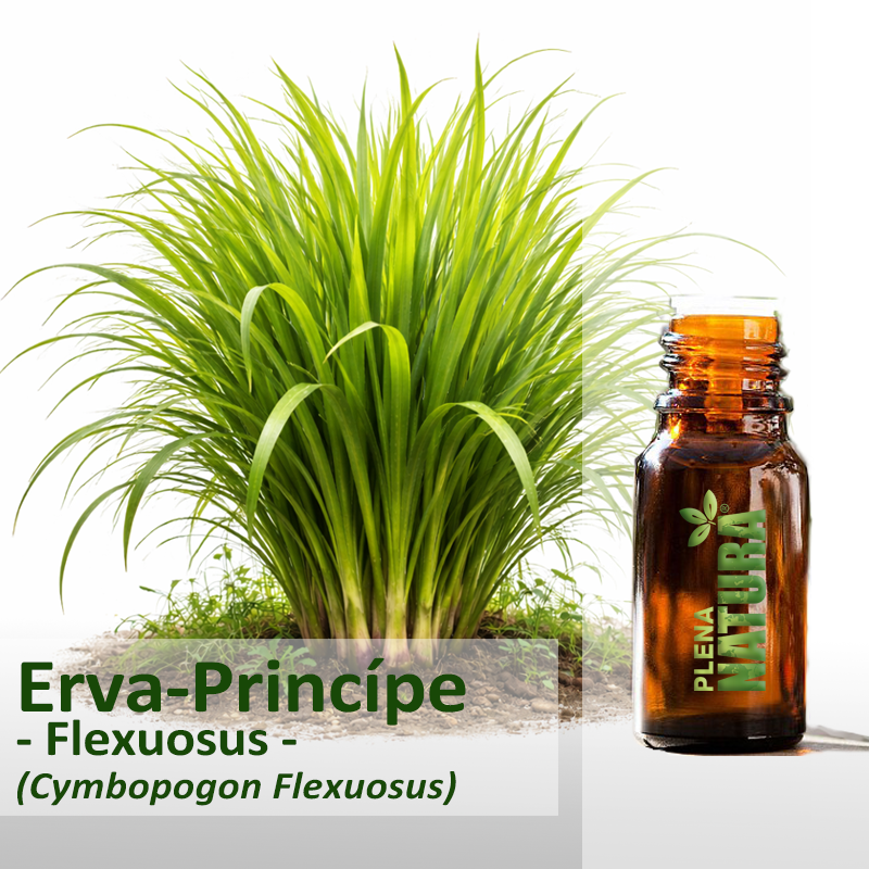 Erva-Príncipe - Flexuosus / Capim-Limão - Óleo Essencial