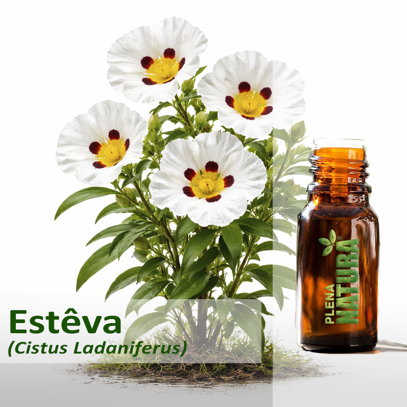 Esteva - Óleo Essencial