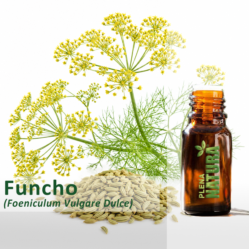 Funcho - Óleo Essencial