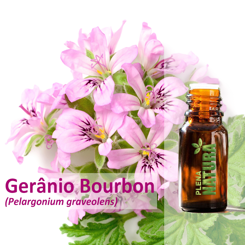 Gerânio Bourbon - Óleo Essencial