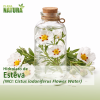 Hidrolato de Esteva