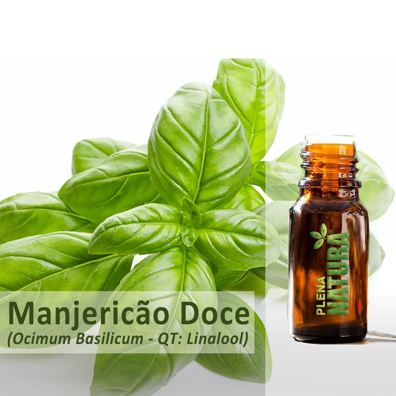 Manjericão Doce - Óleo Essencial