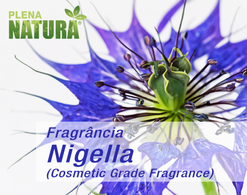 Nigella - Cosmetic Grade Fragrance Oil