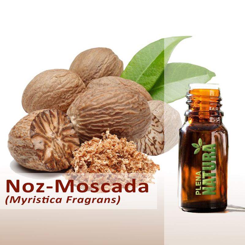 Noz-Moscada - Óleo Essencial