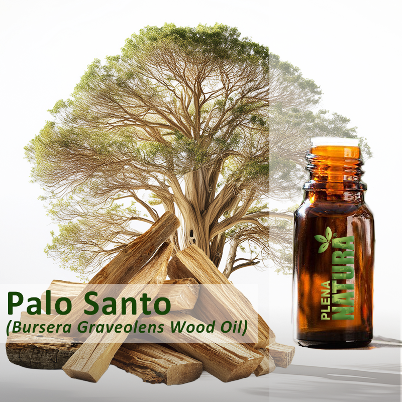 Palo Santo - Óleo Essencial