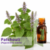 Patchouli - Óleo Essencial