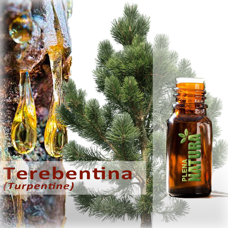 Terebentina - Óleo Essencial