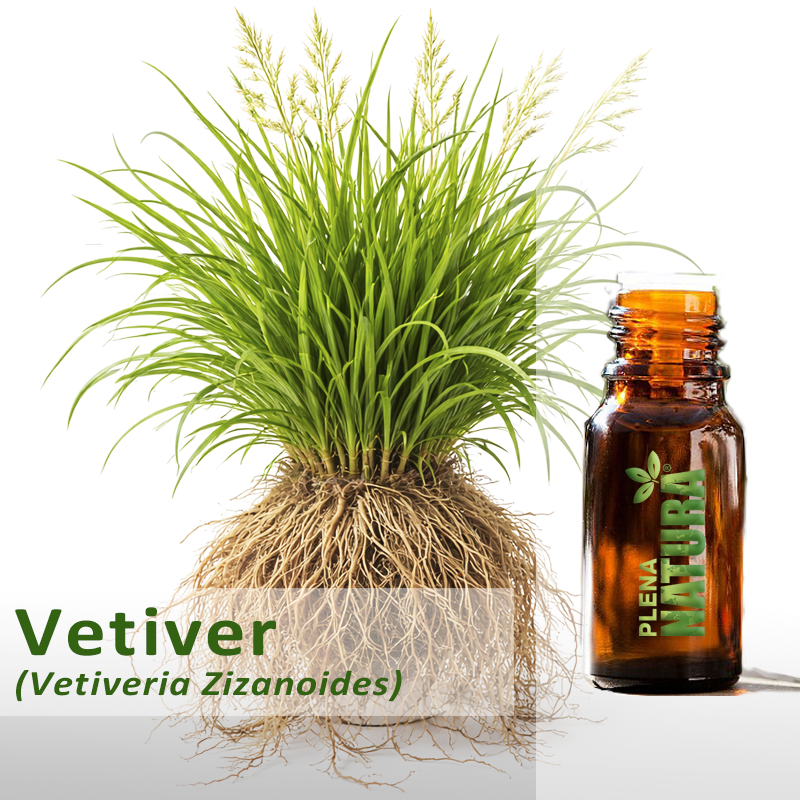Vetiver - Óleo Essencial