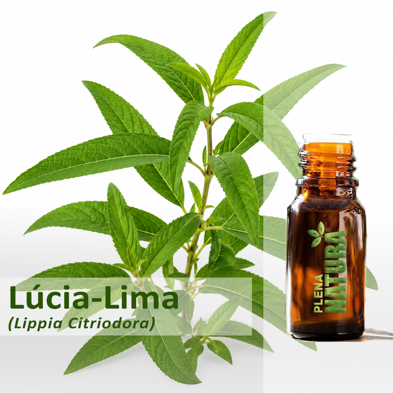 Lucia-Lima (Verbena-Limão) - Óleo Essencial
