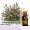 Tomilho Vermelho - Óleo Essencial